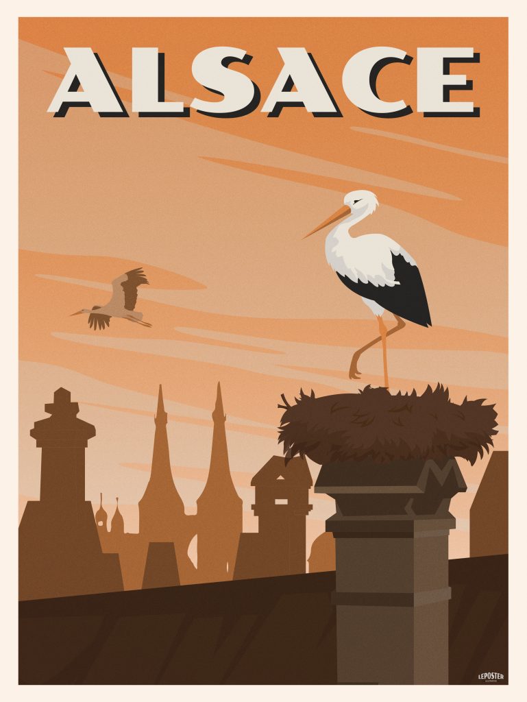 Cigogne d’Alsace