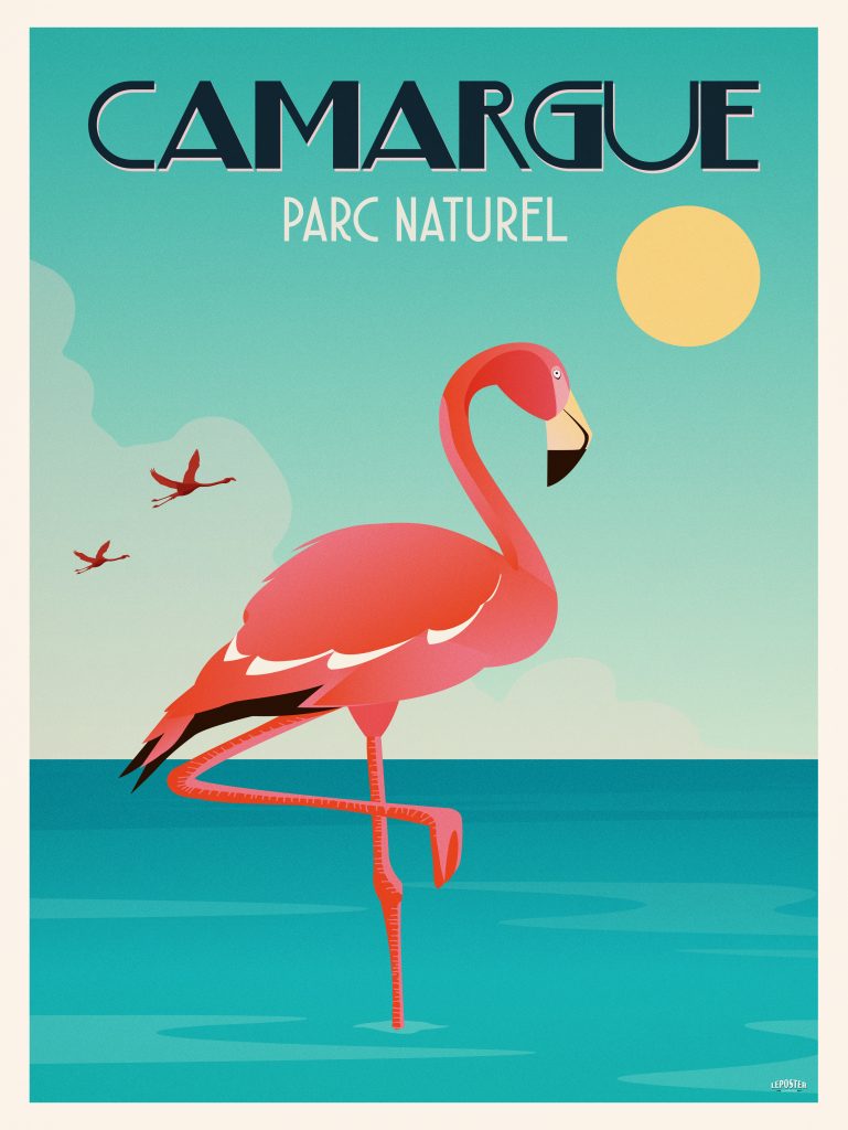 Flamant Rose – Camargue