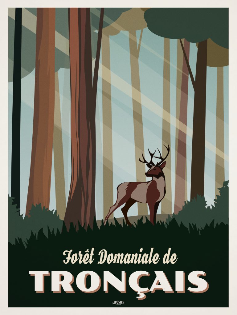 Foret Domaniale de Tronçais