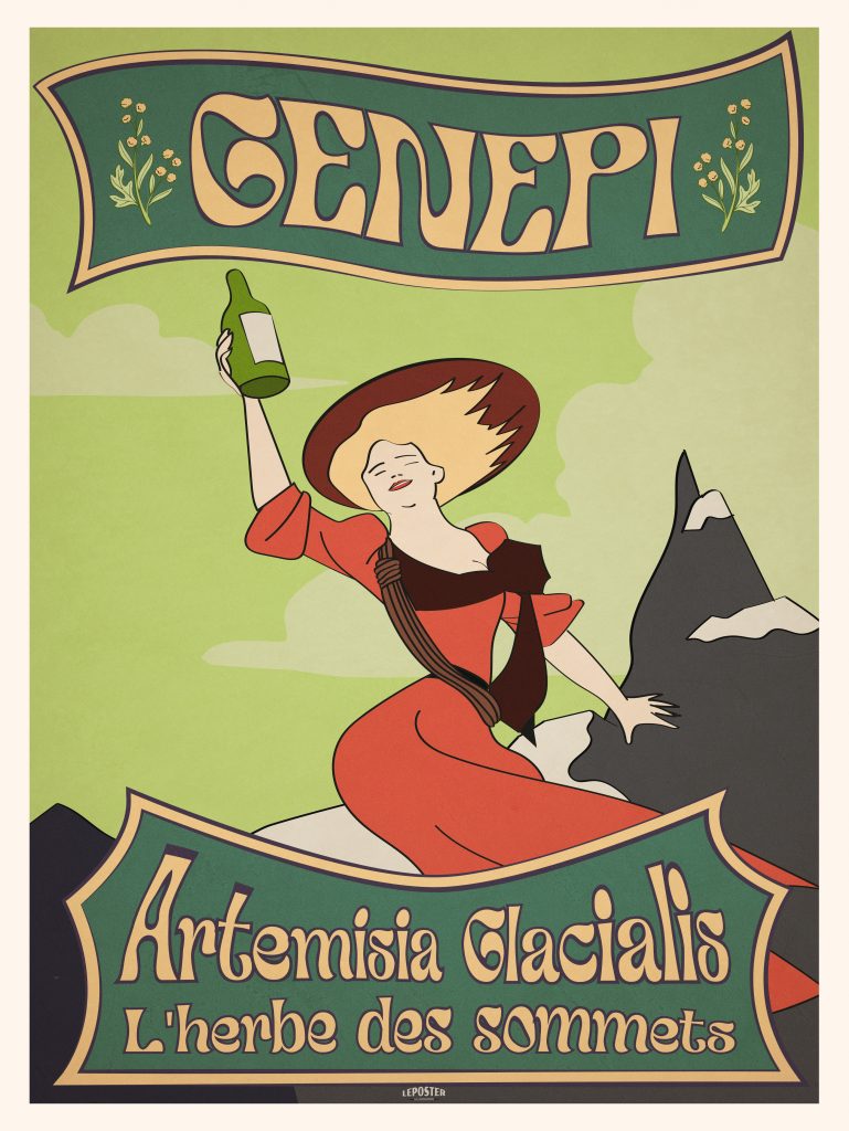 Génépi, l’herbe des sommets