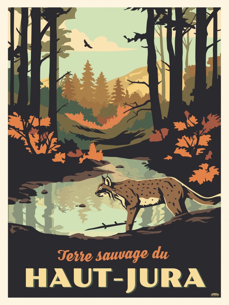 Haut Jura, Terre Sauvage – Lynx