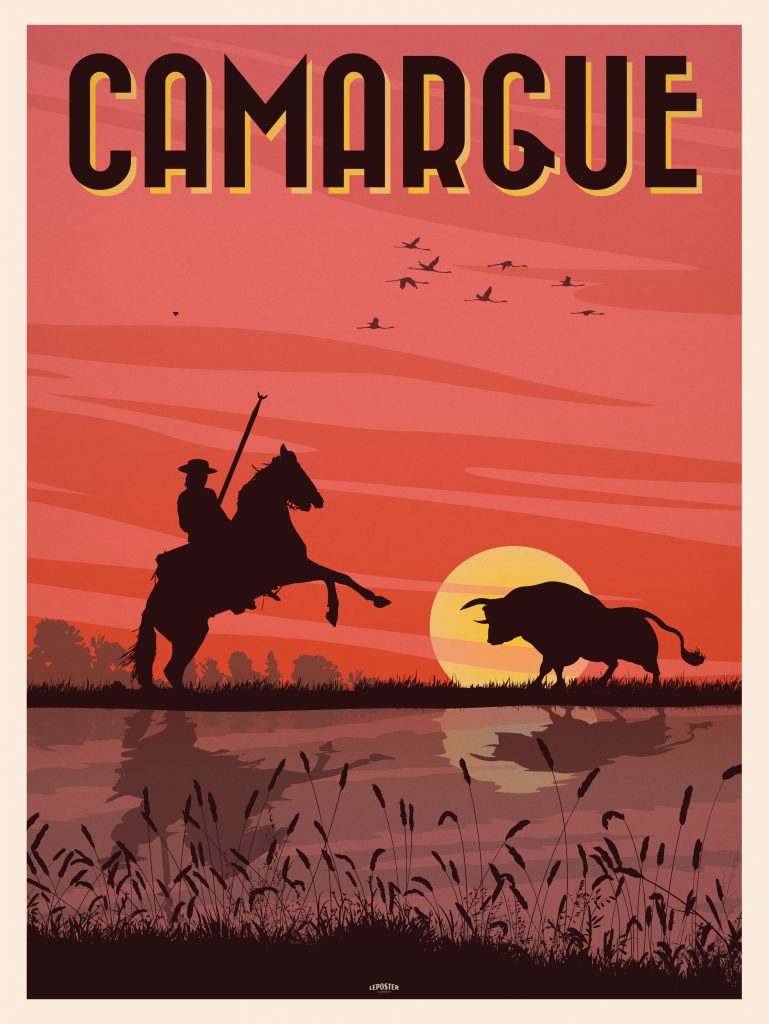 Taureau et guardian – Camargue
