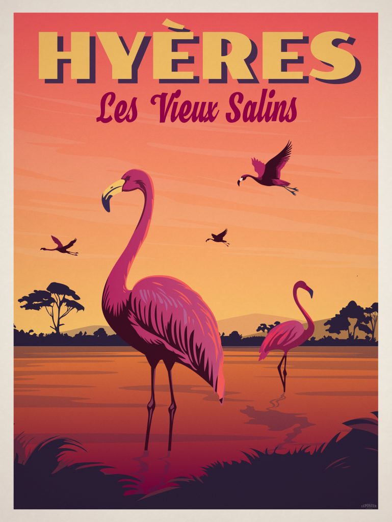 Flamants Roses – Les vieux Salins d’Hyères