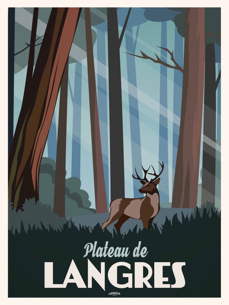 Parc National des Forets